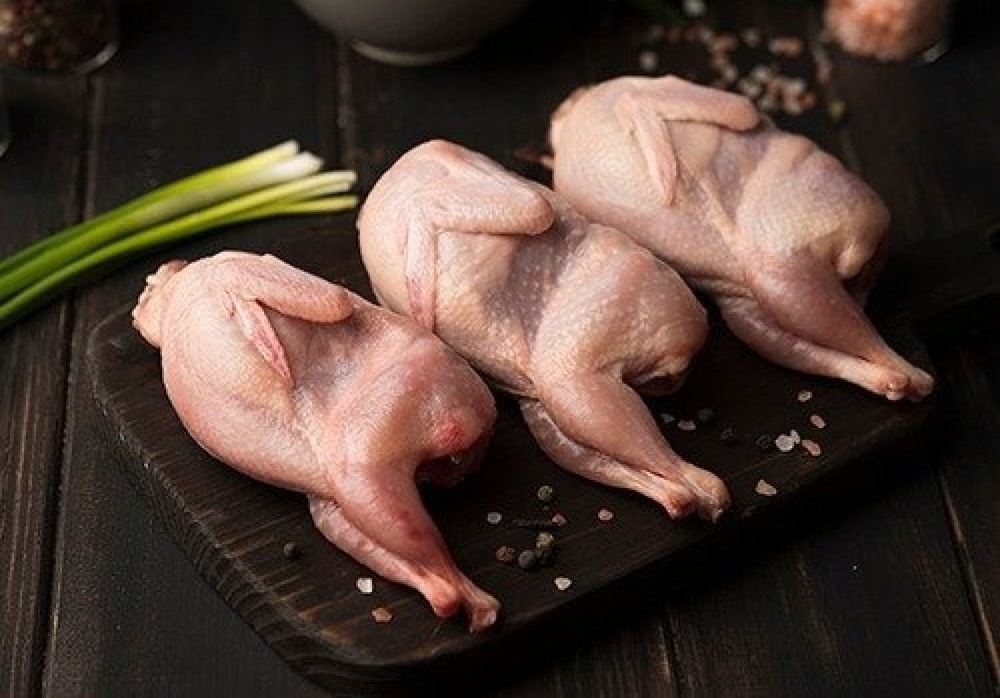 دجاج بلدي حر